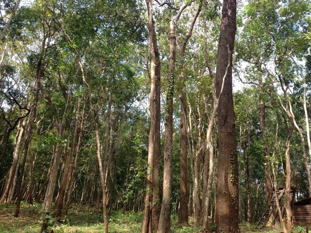 Mondulkiri Hotel Sen Monourom Exteriör bild